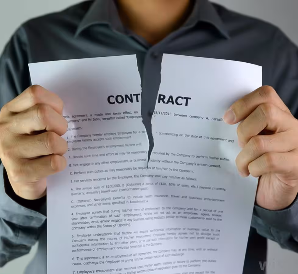 Termination, Nullity, and Annulment